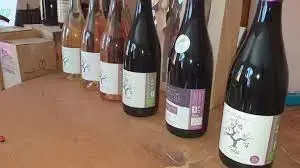 Domaine des Collines