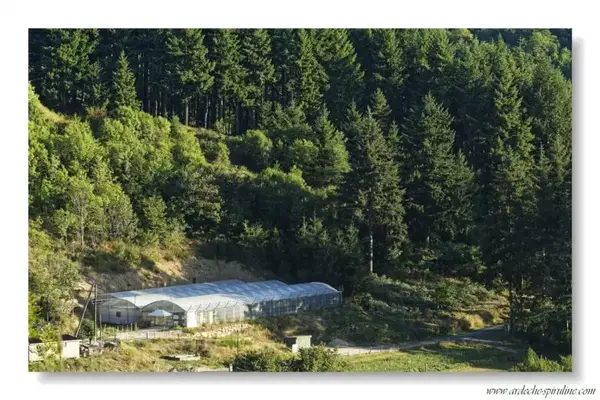 Spiruline des Monts d'Ardèche