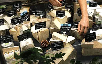 Lait cru, qu’a-t-il de plus ? Lait cru, qu’a-t-il de plus ?